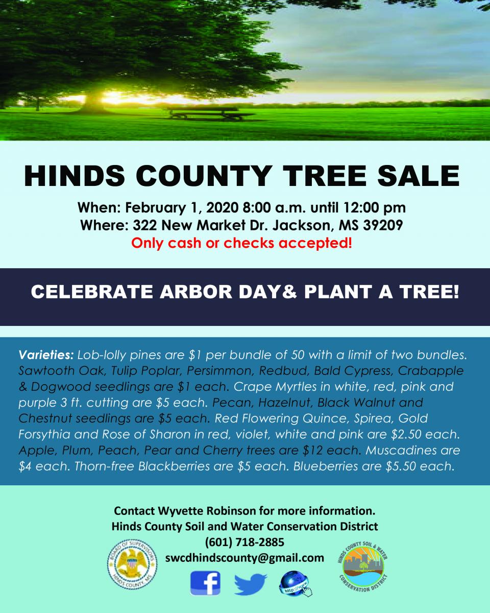 2020 Tree Sale
